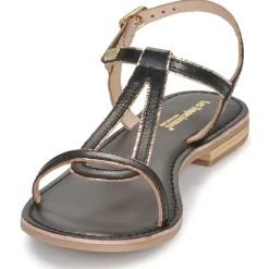 Les Tropéziennes par M Belarbi - HAMATRIO