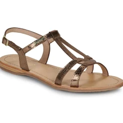 Les Tropéziennes par M Belarbi - HACKLIO