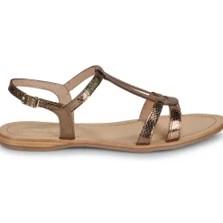 Les Tropéziennes par M Belarbi - HACKLIO