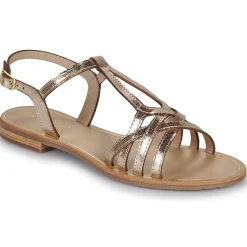 Les Tropéziennes par M Belarbi - HASTRO