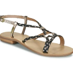 Les Tropéziennes par M Belarbi - HOMARIE