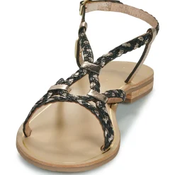 Les Tropéziennes par M Belarbi - HOMARIE