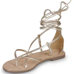 Les Tropéziennes par M Belarbi - DJOYA