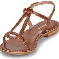 Les Tropéziennes par M Belarbi - HAMATRIO