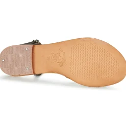 Les Tropéziennes par M Belarbi - MONACODE