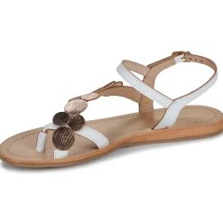 Les Tropéziennes par M Belarbi - HOLLY