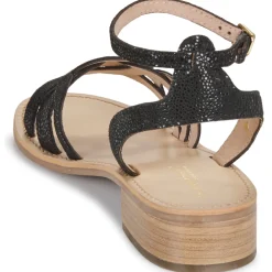 Les Tropéziennes par M Belarbi - HIREEN