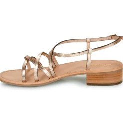 Les Tropéziennes par M Belarbi - HARRYNA