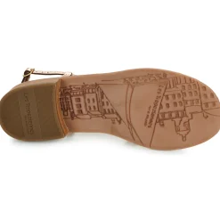 Les Tropéziennes par M Belarbi - HARRYNA