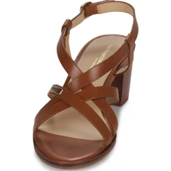 Les Tropéziennes par M Belarbi - LYMA