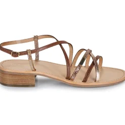 Les Tropéziennes par M Belarbi - HARRYNA