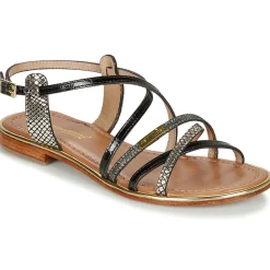 Les Tropéziennes par M Belarbi - HARRY