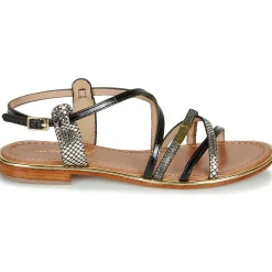 Les Tropéziennes par M Belarbi - HARRY