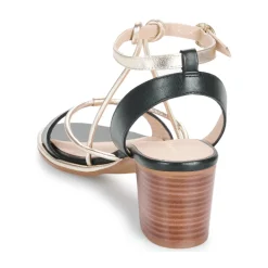 Les Tropéziennes par M Belarbi - LILON