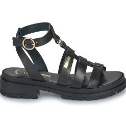 Les Tropéziennes par M Belarbi - TOBO