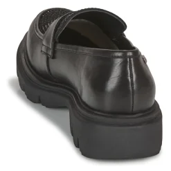 Les Tropéziennes par M Belarbi - ZABOY