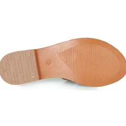 Les Tropéziennes par M Belarbi - DAMIA