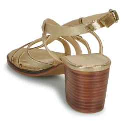 Les Tropéziennes par M Belarbi - LYMA