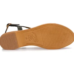 Les Tropéziennes par M Belarbi - HAMAT