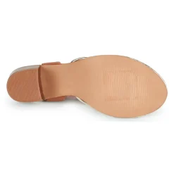 Les Tropéziennes par M Belarbi - LILON