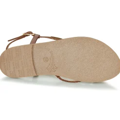 Les Tropéziennes par M Belarbi - CHOU