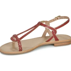 Les Tropéziennes par M Belarbi - HAPPY