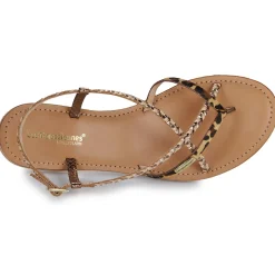 Les Tropéziennes par M Belarbi - MONATRES