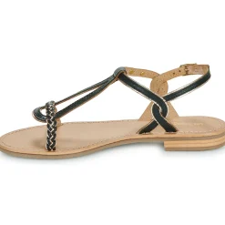 Les Tropéziennes par M Belarbi - HAPPY