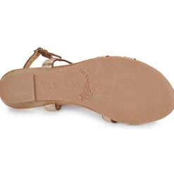 Les Tropéziennes par M Belarbi - HACTRESS