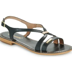 Les Tropéziennes par M Belarbi - HAMOON