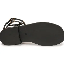 Les Tropéziennes par M Belarbi - Coralie