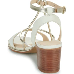 Les Tropéziennes par M Belarbi - LILON