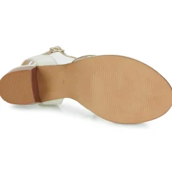 Les Tropéziennes par M Belarbi - LILON