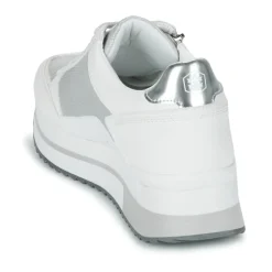 Lumberjack - CECILIA