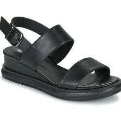 Lumberjack - FILEROY