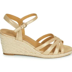 Maison Minelli - TERENSSE