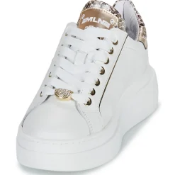 Meline - 608ACC-LO-E883