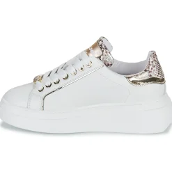 Meline - 608ACC-LO-E883