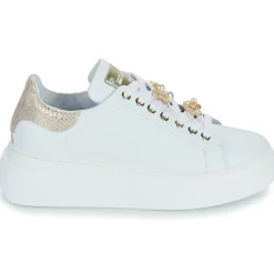 Meline - LO247-ACC-P9096