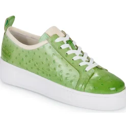 Melvin & Hamilton - AMBER 6