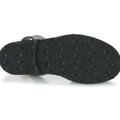 Minorquines - AVARCA