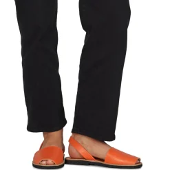 Minorquines - AVARCA