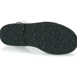 Minorquines - AVARCA