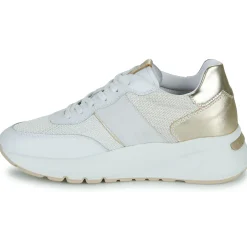 NeroGiardini - E512862D