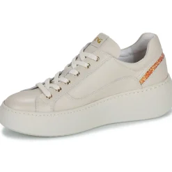 NeroGiardini - E513081D