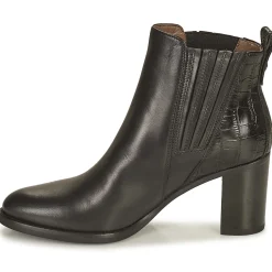 NeroGiardini - FENOUILO