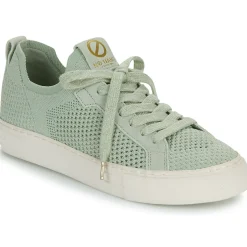 No Name - ARCADE FLY W