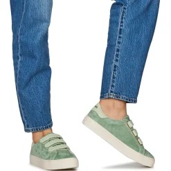 No Name - ARCADE STRAPS PERFOS