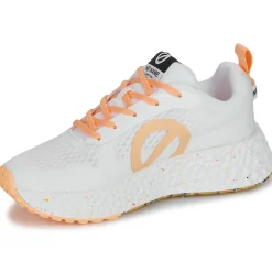 No Name - CARTER FLY W