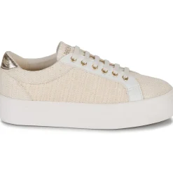 No Name - PLATO M BRIDGE